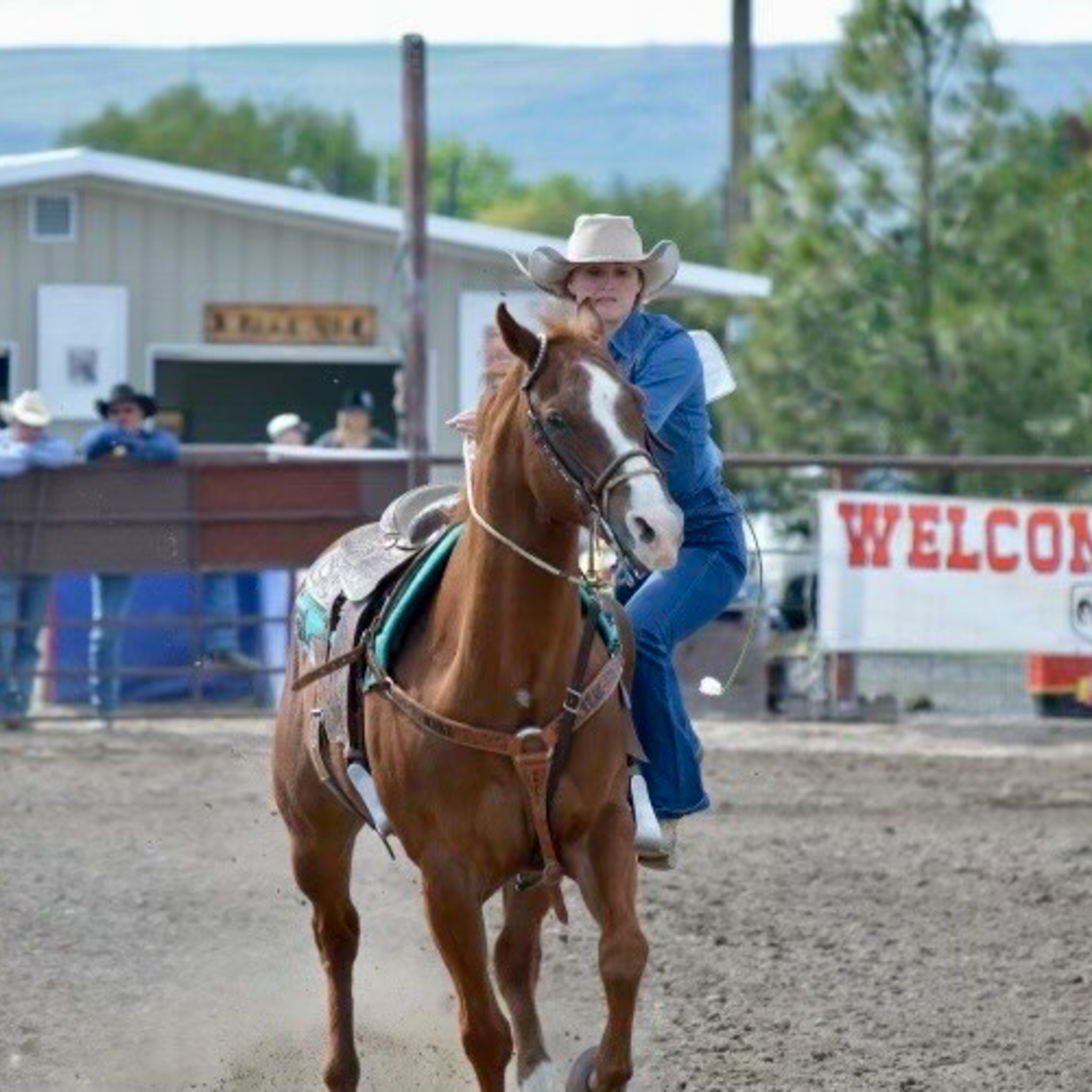 BA1E86E2-B280-488B-B266-43506C02CC47